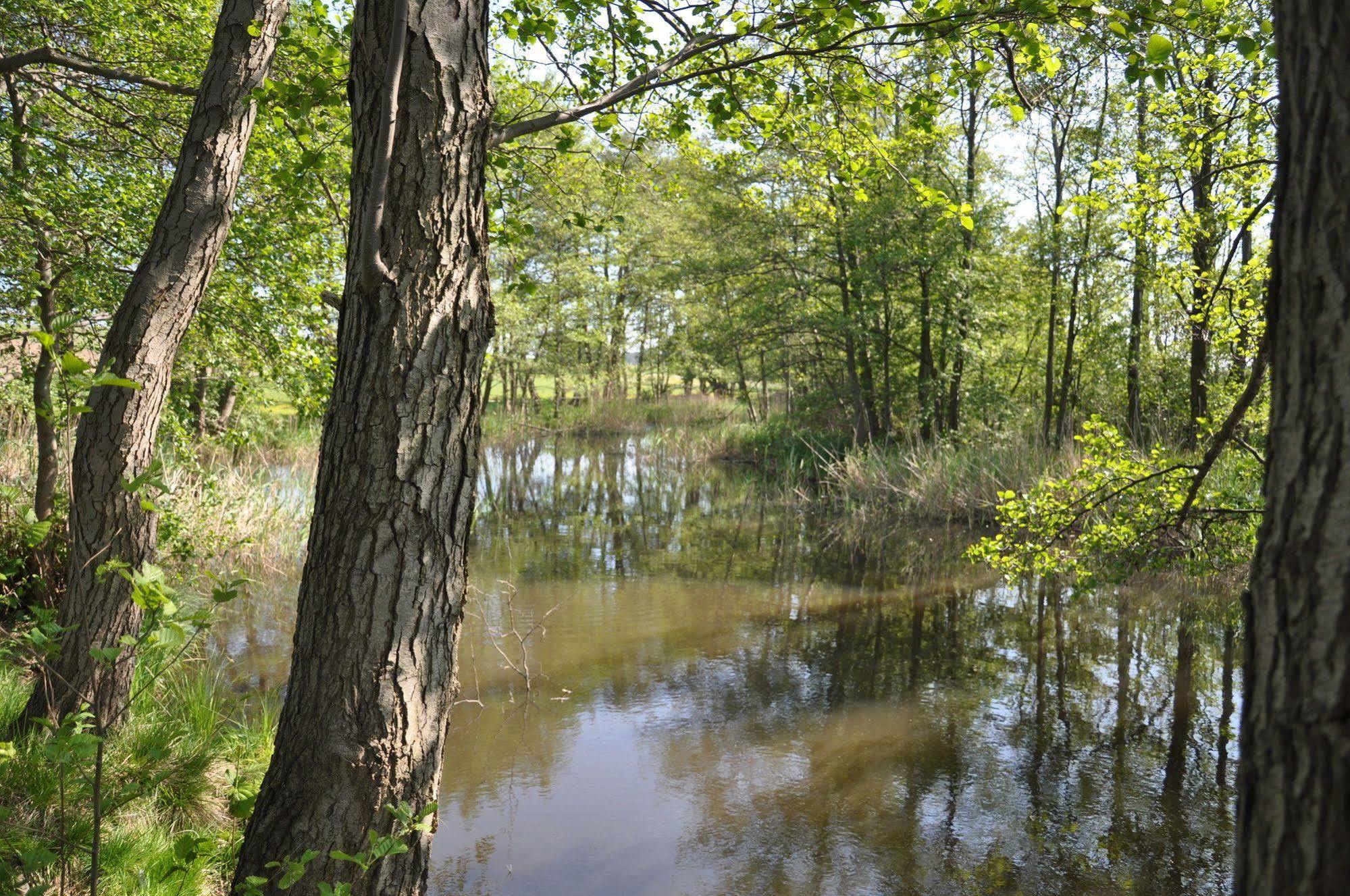 Hotel Am Gothensee Heringsdorf Zewnętrze zdjęcie